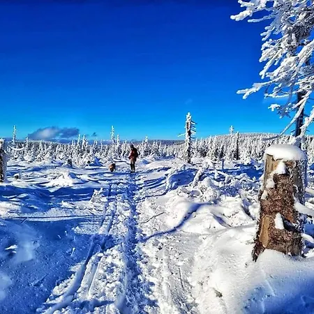 Feriehus Wellness Sindelka Králíky