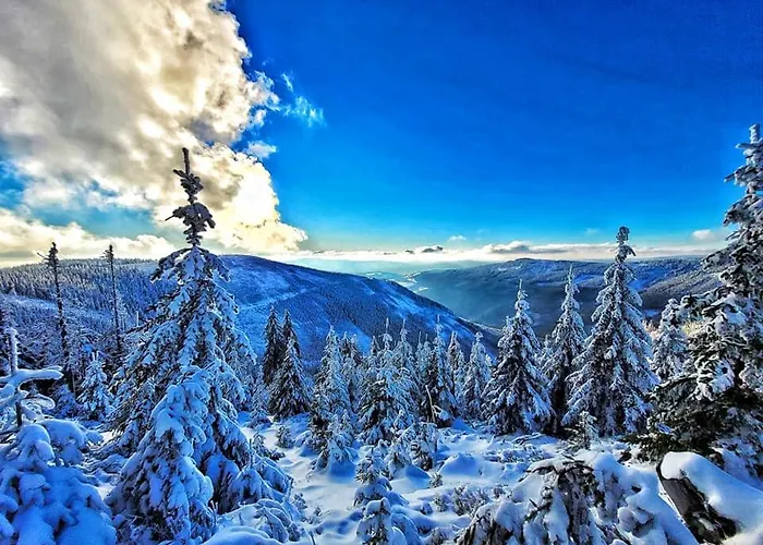 Wellness Sindelka * Kraliky