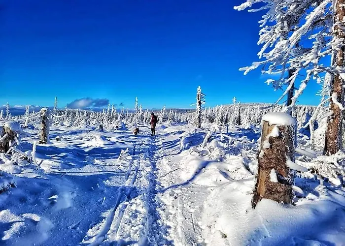 Holiday home Wellness Sindelka Kraliky